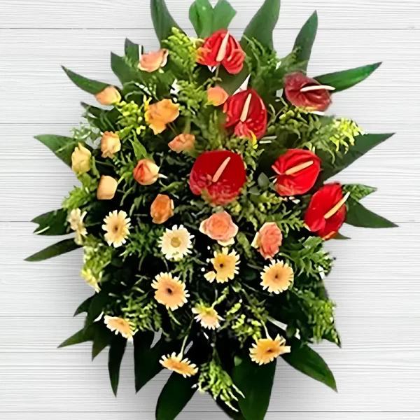 Coroa Coral